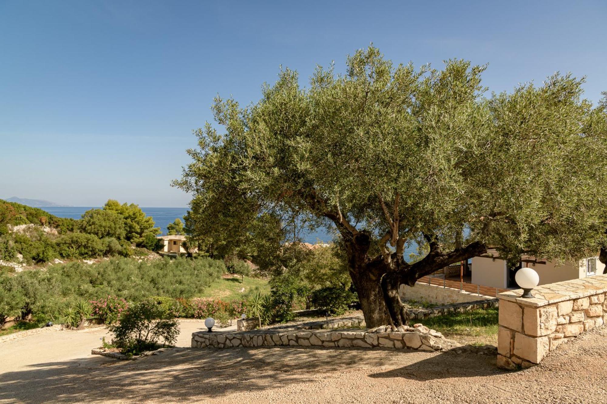 Villa Mare Studios Skinária Exterior foto